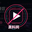 黑料网官网品牌标志